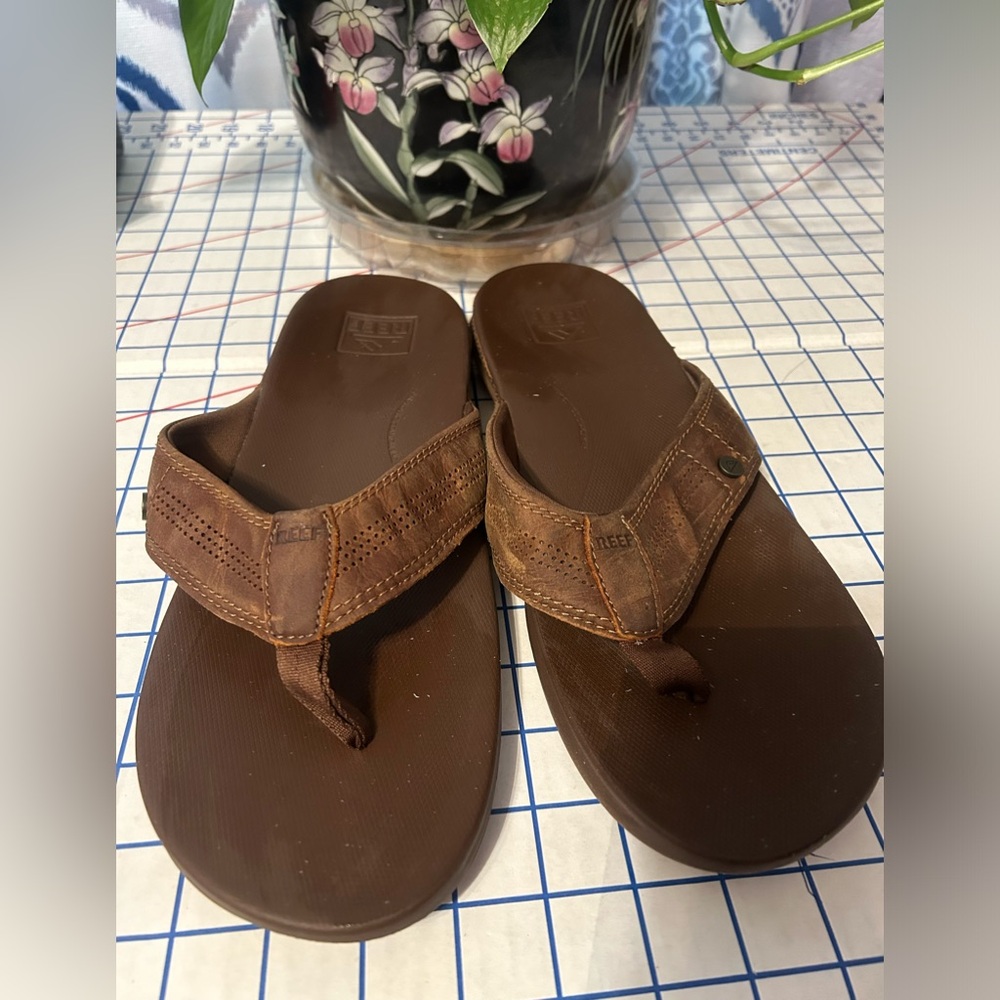 Men’s Reef size 12